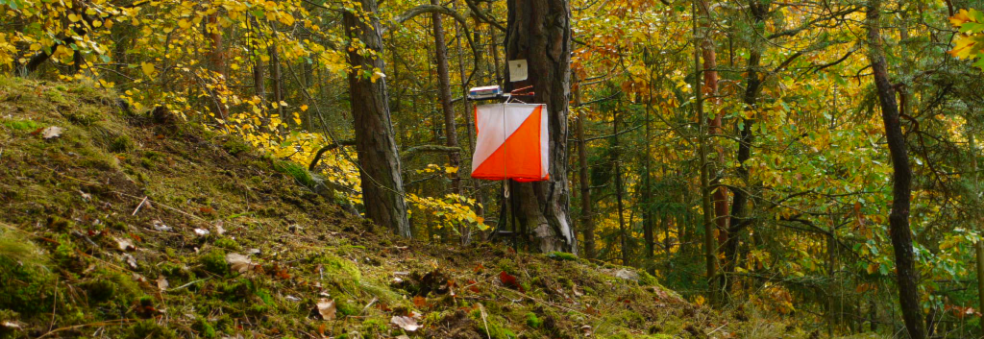Kurs i orientering